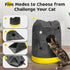 Homrich Interactive Cat Play Bag- Durable Rug for Hide and Seek, Collapsible Hole Mat, Tunnel Sleeping Bag for Indoor