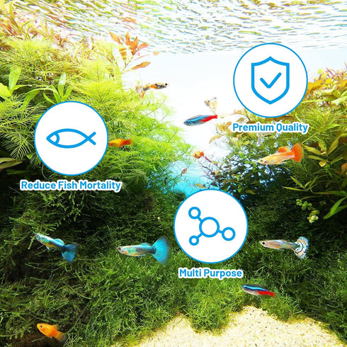 8 Pack Replacement Filter Sponges for Kulife Aquarium Filters, 2 Coarse, 4 Carbonized, 2 Fine