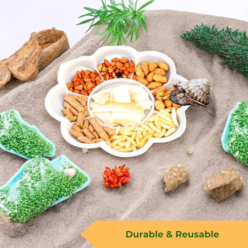 2pcs Set, Hermit Crab Food Bowls with Feeding Tongs and Scooper Hermit Crab Food Bowl Water Dishes Accessories, Small