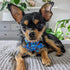 Huxley & Kent Pet Pinwheel, Firecrackers (Large), 4th of July Velcro Collar Accessory for Dogs/Cats