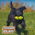 Nylabone Power Play Tennis Teddy Gripz Bear Dog Toy, Medium (1 Count)