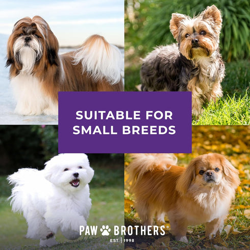 Ryan's Pet Supplies Paw Brothers Soft Flat Slicker Brush for Dogs, Professional Grade for Small Dogs, Gentle on Skin