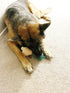 Jalousie Multipack Dog Squeaky Toys, Strong Almost Indestructible Chew Toys with Added Liner for Longer Play (Medium