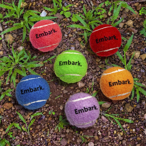 Colorful Squeaky Tennis Balls for Small Dogs and Puppies, 1.5 Inch, 12 Pack for Training and Fetch