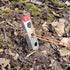 Ultralight Backpacking Trowel, 0.48 oz (13.5g) Red Color