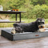 Lesure Waterproof Dog Bed for Medium Dogs - Outdoor Bed with Oxford Fabric, Removable Durable Cover, Machine Washable