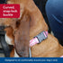 Coastal Pet Water & Woods Adjustable Dog Collar, Stylish Patterned Collar with Curved Snap Lock Buckle, Bottomland