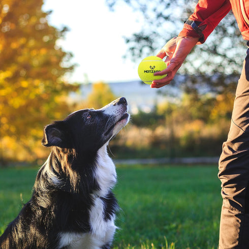 Dog Tennis Balls - 12 Pack 2.5" Squeaky Interactive Toys for Small Medium Large Dogs - Bounce Rubber for Training