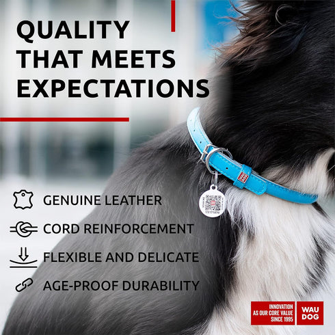 WAUDOG Ultra Soft Rolled Leather Collar for Small, Medium, and Large Dogs, Padded Puppy Collar for Male and Female