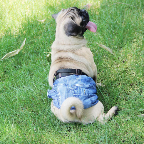 Wegreeco Washable Male Dog Diapers, Pack of 3, Large - 18"-21" Waist, Washable Belly Wrap