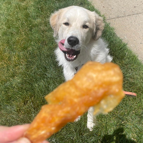 Best Bully Sticks Chicken Breast Dehydrated Dog Treats - 24 oz. - All Natural High Protein Real Chicken Jerky Chews