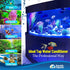 TankFirst Complete Aquarium Water Conditioner, 250 ml, Removes Chlorine and Detoxifies Ammonia
