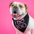 I Do Too Engagement Dog Bandana for Dogs, Navy OS 112 (GB)