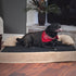 PETMAKER Orthopedic Memory Foam Pet Bed with Bolster for Medium Dogs