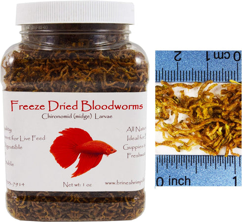 Brine Shrimp Direct Freeze Dried Bloodworms, 1 oz