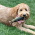 Spunky Pup Fly & Fetch Dog Toy - Durable Floating Interactive Bungee Launcher for Fetch and Water Play