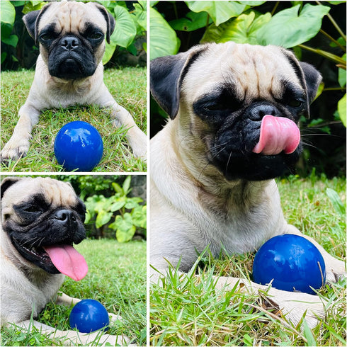 Tuff Pupper SuperChewy Tough Dog Ball Toy, Strong Natural Rubber Fetch Toy for Aggressive Chewers