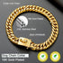 Gold Chain Dog Collar - 16MM 18K Gold Cuban Link with Secure Snap Buckle, Metal Collar for Small Pitbull (16MM, 22")