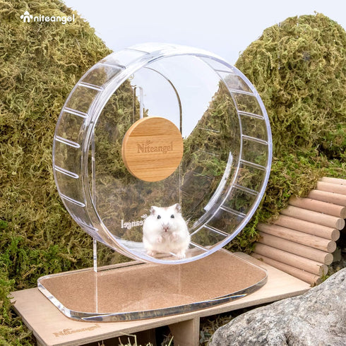 Niteangel Super-Silent Hamster Exercise Wheel, Quiet Spinner with Adjustable Stand for Small Animals (S, Transparent)