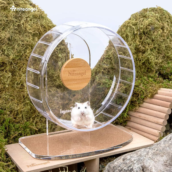 Niteangel Super-Silent Hamster Exercise Wheel, Quiet Spinner with Adjustable Stand for Small Animals (S, Transparent)