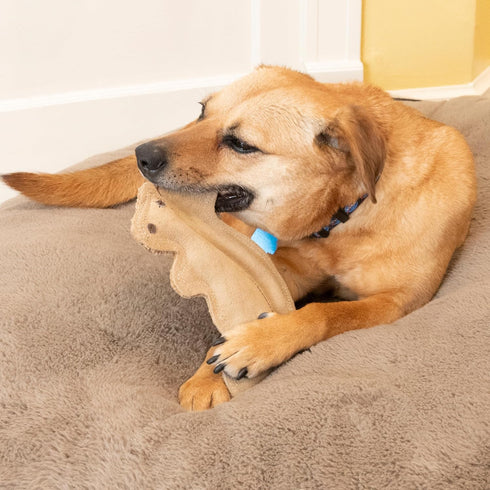 SPOT 8in Dura-Fused Leather Squirrel Dog Toy Real Leather & Jute Fabric, Double-Stitched & Durable, Soft Stuffed