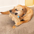 SPOT 8in Dura-Fused Leather Squirrel Dog Toy Real Leather & Jute Fabric, Double-Stitched & Durable, Soft Stuffed