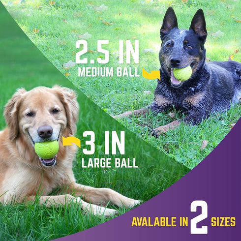 Chew King 3 Inch Supreme Rubber Balls (4-Pack) for Large Breeds