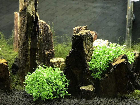BEGONDIS Aquarium Decorations, Fish Tank Artificial Green Water Plants Safe for All Fish & Pets