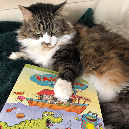 3 FUZZU Fast Food Cat Storybook | Interactive Cat Toy | Cat Activity Toy | Cat Game Board | Colorful Storybook |