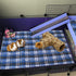 BWOGUE Hamster Grass Tunnel Toy, Nature's Hideaway Tunnels and Tubes for Guinea Pig, Rats, Syrian Hamster, Chinchilla,