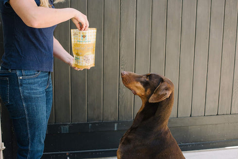 Freeze Dried Superfood Snacks for Dogs, Pumpkin + Kale, All Natural Dog Treat