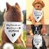 My Parents are Getting Me a Human Pregnancy Announcement Dog Bandana Dog Baby Announcement Gender Reveal Announcement