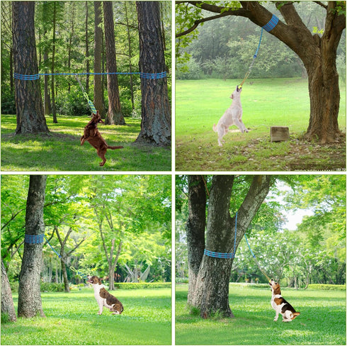 Tree Tugger Dog Toy - Retractable Bungee Tug Toy, Interactive Tug of War with 32.8 ft Rope