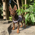 YQYS Dog Shirts, Multi-color Striped Cotton Vest for Small Dogs and Cats, Tank Top for Teacup Breeds