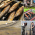 Professional Seine Net | Ultra Strong | Maximizes Catch for Commercial and Recreational Fishing