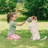 SPOT 5 2.5-inch Sensory Ball for Soft Chewers - Stimulates All Senses, Bell & Squeaker Sounds, Raised Nubs Clean Teeth