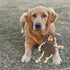 SPOT Dura-Fused Leather Forest Animals Dog Toy with Squeaker and Rope Limbs, 14in, Assorted Styles