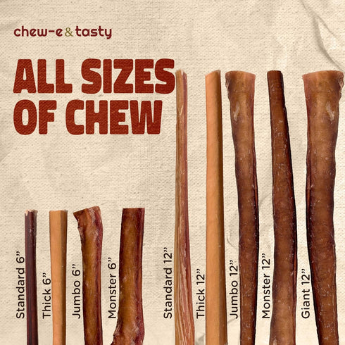 12" (Pack 5) 100% chew-e&tasty Monster Odor Free Bully Sticks of - Long Lasting Beef Chews - Beef Single Ingredient