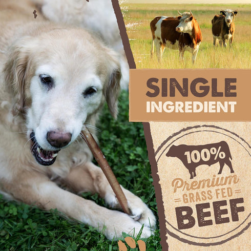 12" Mighty Paw Long Lasting Bully Sticks for Dogs - All Natural Grass Fed Beef Chews. Lower Odor Dog Bully Sticks
