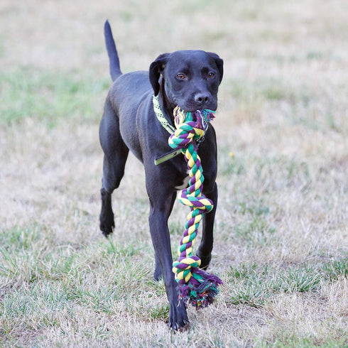 Youngever Dog Rope Toys, Puppy Chew Toys for Medium to Large Dogs (4 Pack)