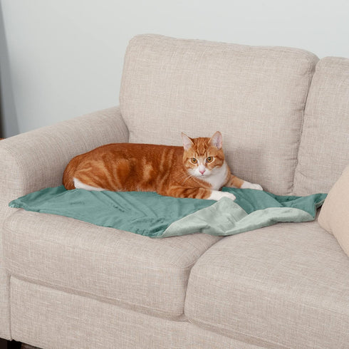 Furhaven Waterproof Throw Blanket for Dogs & Indoor Cats, Washable Two-Tone Luxe Velvet Dog Blanket, Celadon Green,