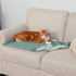 Furhaven Waterproof Throw Blanket for Dogs & Indoor Cats, Washable Two-Tone Luxe Velvet Dog Blanket, Celadon Green,