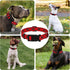 Dog Collar, Adjustable Soft Plaid Pet Collar with Safety Buckle for Small Medium Large Dogs, Classical Boys Girls (Red
