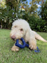 SuperChewy Tough Tug Pull Toy, Strong Natural Rubber for Interactive Tug-of-War for Medium & Large Breeds