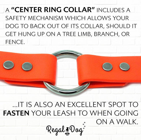 Regal Dog Products Waterproof Dog Collar and Leash Set, Small Orange, Vinyl Coated, Biothane, 5' Leash