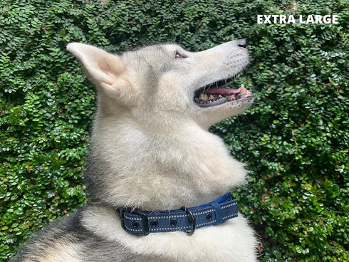 Tuff Pupper Ultra Comfort Padded Dog Collar - Thick Neoprene Padding with Reflective Stitching, Durable Metal Buckle &