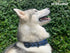 Tuff Pupper Ultra Comfort Padded Dog Collar - Thick Neoprene Padding with Reflective Stitching, Durable Metal Buckle &