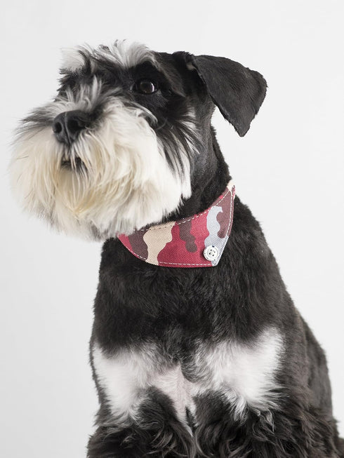 Small Dog Collar Puppy Cat Tiny Pet Bow Tie & Bandana Set, 2pcs PU Leather Canvas Scarf, Durable Camo-Red