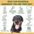 Wildeers Large Deer Antlers for Dogs - Premium Chew Treats, Made in USA, Naturally Shed, Grade A, 7-9 in, 2 Pieces