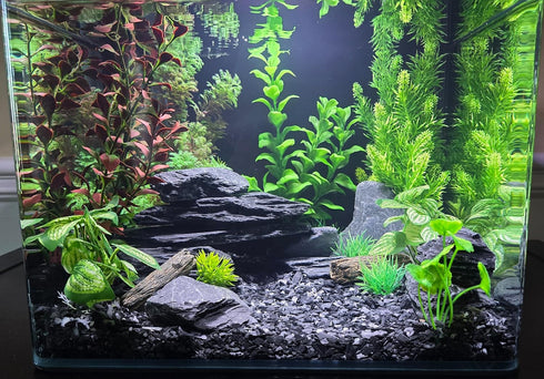 Natural Slate Stone - 1/8 to 1/4 inch Slate Gravel for Aquariums, Bonsai, and Miniature Gardens